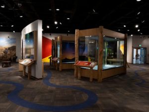 Museum Interior